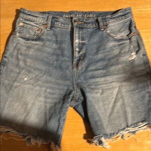 American Eagle Distressed Denim Shorts